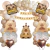 Combo Globos Capibara Cumpleaños Deco Nude Fiesta - comprar online