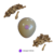 Imagen de Globos 5" Látex Importados Standard Pack x10