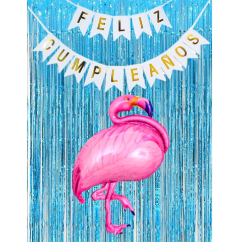 Combo Fiesta Cumpleaños Globos Temática Flamenco Rosa