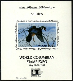 01730 EUA Souvenir Exposição Caça aos Patos World Columbian Sem denteação NNN