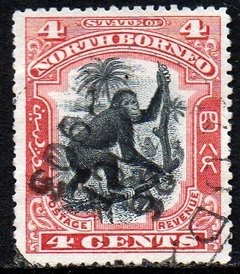 02467 Borneo do Norte 77 Orangotango U