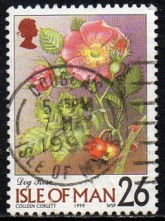 02734 Man 848 Flores da Região U