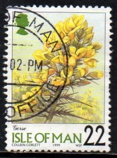 02737 Man 847 Flores da Região U (d)