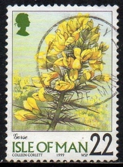 02737 Man 847 Flores da Região U (i)