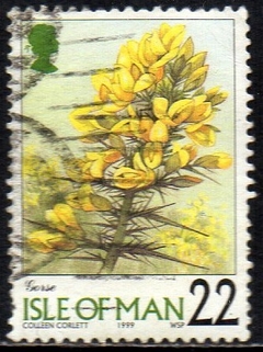 02737 Man 847 Flores da Região U