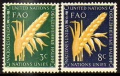 03598 Nações Unidas 23/24 FAO Alimentação Trigo NNN