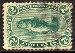 03841 Terra Nova Newfoundland 21 Peixes U