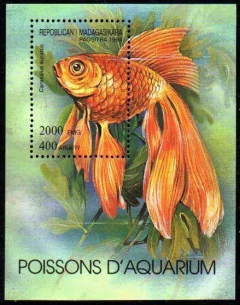 05399 Madagascar 1398/04 + Bloco 97 Peixes Diversos Nnn - comprar online