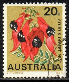 10087 Austrália 370 Flores U (b)