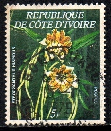 11331 Costa do Marfim Cote D'Ivoire 462A Orquídeas U