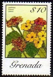 02668 Grenada 1286 Flores Da Região Nnn
