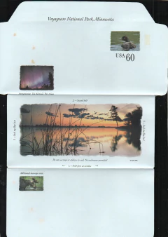 15517 Estados Unidos Inteiro Postal Patos N
