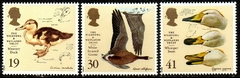 16019 Inglaterra 1861 + 1863 + 1865 Patos NNN