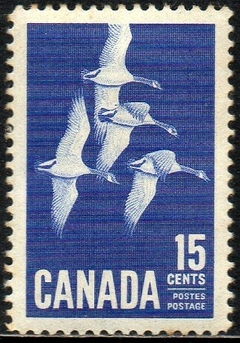 16036 Canada 337 Patos NN