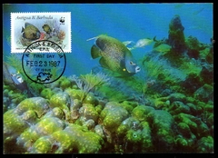 18081 Antigua & Barbuda Máximo Postal WWW Peixes U