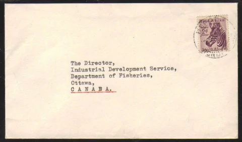 18579 África do Sul Envelope Circulado P/ Canada Zebra