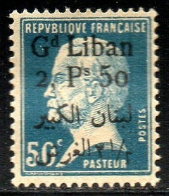 20407 Grande Libano 43 Pasteur N