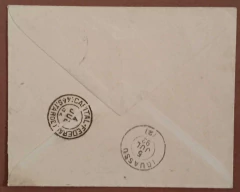 Envelope circulado em 1892 do Rio de Janeiro para Iguassú e porteado em 100 réis, com um selo do Tintureiro. Falta do tr na internet