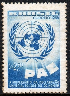 Brasil 429Y Direitos Humanos NNN (a)