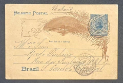 Bilhete Postal (BP-54) Linda peça de Correio Urbano transitando dentro de São Paulo em 17/NOV/1903. Curiosidade no carim