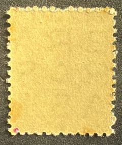 Bisneta - Variedade - Deslocamento de Picote - Ruy Barbosa - Novo - comprar online