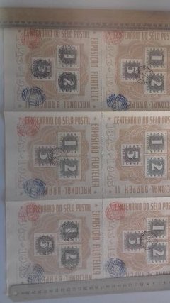 Brasil Bloco 009 P Brapex Em Panô De 6 Blocos Com Cbc Raro U