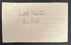 Cartão Postal - Instituto Butantã - SP - comprar online