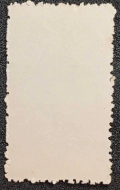 Variedade - Comemorativo (C-611A) Impressão no verso (Lado Fosco) - 160 Ufs  - comprar online