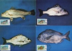 20146 Ciskei Máximos Postais 70/73 Peixes U