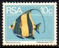 05295 µfrica Do Sul 378a Peixes DenteaÆo 14 Nnn