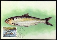 18571 Portugal 1667 Máximo Postal Tema Europa Peixes 1987