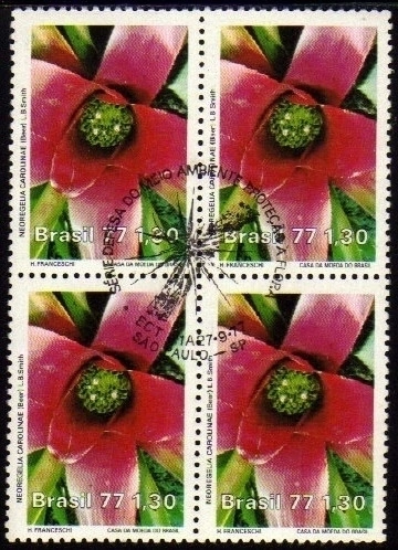 Brasil C 1006 Proteção à Flora Quadra com CBC 1977 NNN
