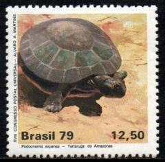 Brasil C 1093 Parque Nacional da Amazônia 1979 NNN