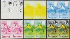 08182 Lesotho 445 Passaro Provas De Impressão Raro Nnn