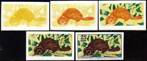 08489 Alemanha Oriental DDR 1236 Castor Provas De Cor Raras NNN