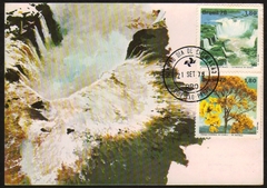 Brasil Máximo Postal 059A Meio Hambiente 1978