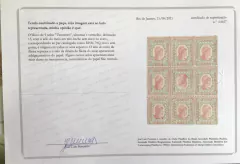 Brasil (79Q) Bloco de 9 selos Tintureiro, ultramar e vermelho dt. 13, com selo do meio em tete-beche sem risco no rosto. Com certificado N - comprar online