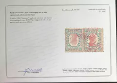 Brasil (79Q) Tintureiro par tete-beche sem risco no rosto com certificado U na internet