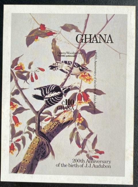 30044 Ghana Bloco 117 Fauna NN - comprar online