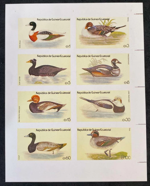 30004 Guiné Equatorial Mini folha sem denteação Fauna NN - comprar online