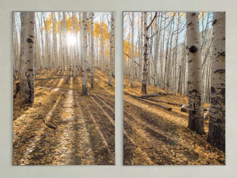 Dupla de Quadros Paisagem Canvas com Moldura 60x90cm