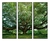 Trio de Quadros Árvore da Vida Canvas com Moldura 65x170cm