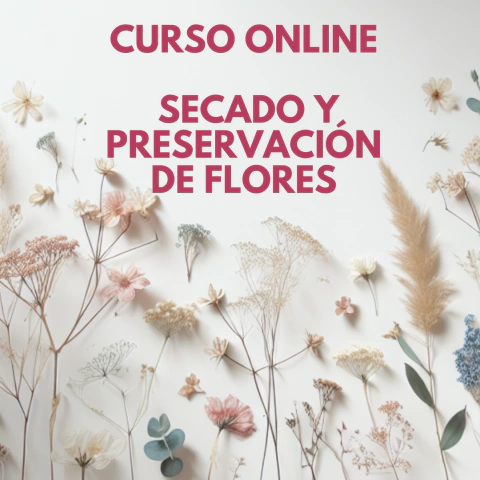 Curso Online "Secado y Preservación de Flores"