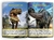 500 ADESIVOS DINOSSAUROS NATIONAL GEOGRAPHIC KIDS - comprar online