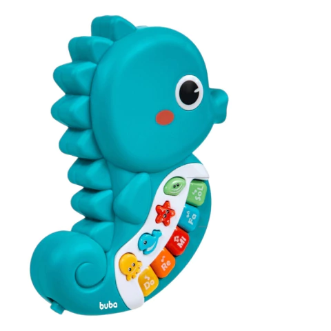 CAVALO-MARINHO MUSICAL