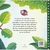 A arara Clara - comprar online