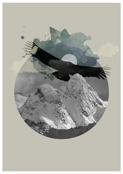 Condor Print