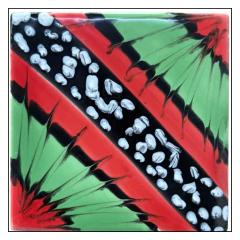 Azulejos 15x15 Fantasia: Mariposas en internet