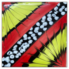 Azulejos 15x15 Fantasia: Mariposas - Buenos Aires Mosaicos