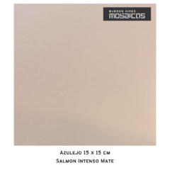 Azulejos Lisos MATE colores 15 x 15 cm. - comprar online